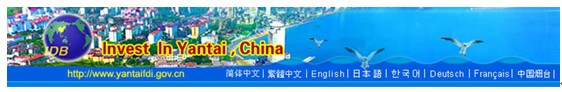 [第五届国际化会议]上海市静安区政府门户网站点评