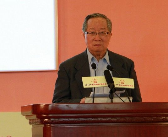 中国互联网协会副理事长高新民