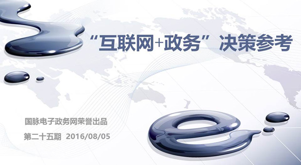 "互联网+政务"决策参考（第二十五期 ）