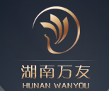 湖南万友智能技术发展有限公司