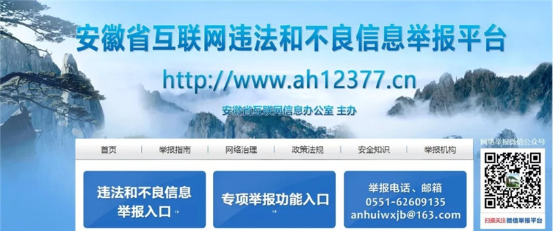 安徽省依法清理32家假冒政府网站,记住举报平