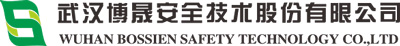武汉博晟安全技术股份有限公司
