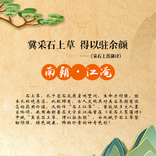 【防脱生发洗发水排行榜】 石上草洗发水口碑好