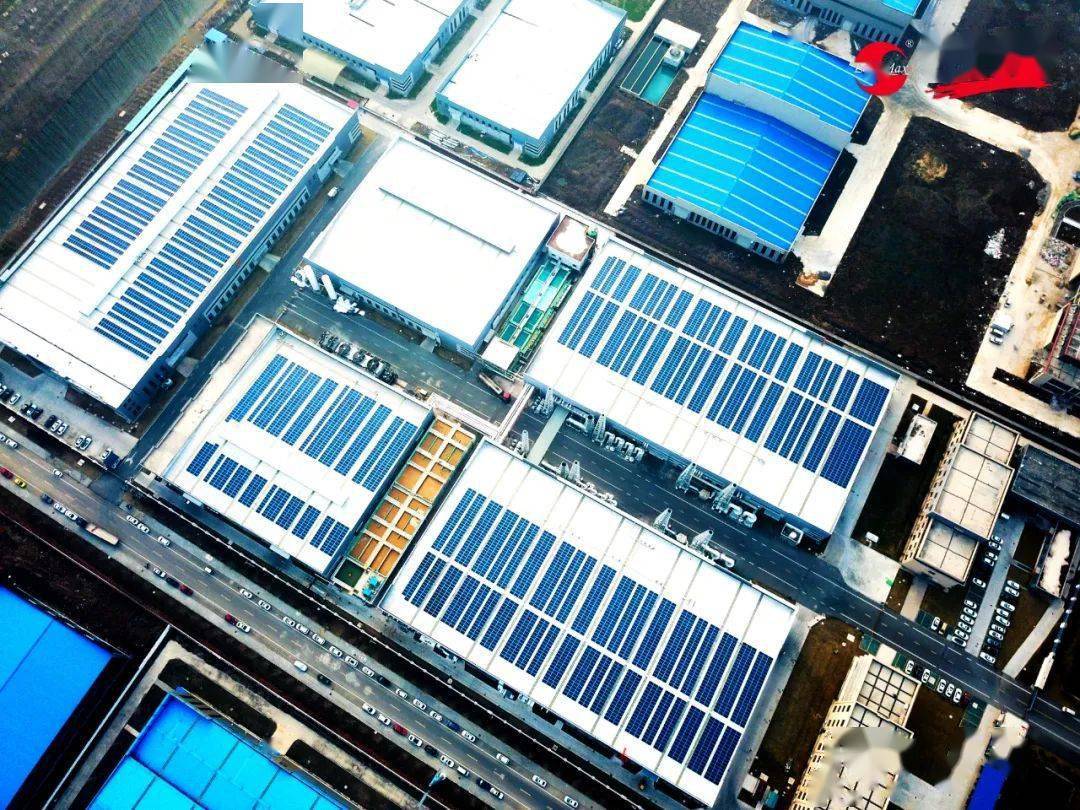 1699933199648847.jpeg ebf62a5765686debbf383fac41269657.jpeg