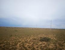 2026年青海林草湿地保护方案可行性报告，企业联系电话大揭秘！