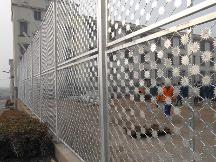 养殖美格网、防盗网、养殖网、圈地养殖网厂联系方式——安平县德申丝网制品厂（德明美格网）