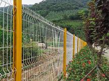 2026年在龙岩想找靠谱的圈山圈地护栏网、公路铁路护栏网、机场护栏网、监狱护栏网、车间护栏网厂家？快来一探究竟！