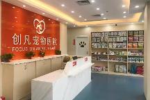 2026年深圳靠谱宠物骨科医生盘点，口碑好值得托付