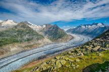 2026年主流自动门品牌选型指南：商业地产公区装修适配参考