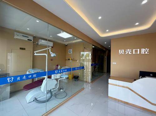 贝壳口腔