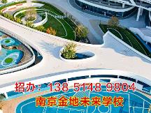 金地未来学校技术实力强吗