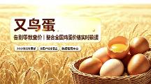 告别零散查价 又鸟蛋平台整合全国鸡蛋价格实时数据
