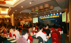 2008 服务型政府网站的本质特征和表现形式