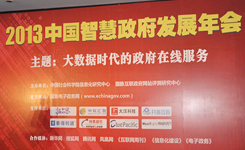 2013 大数据时代的政府在线服务