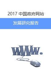2017年中国政府网站发展研究报告