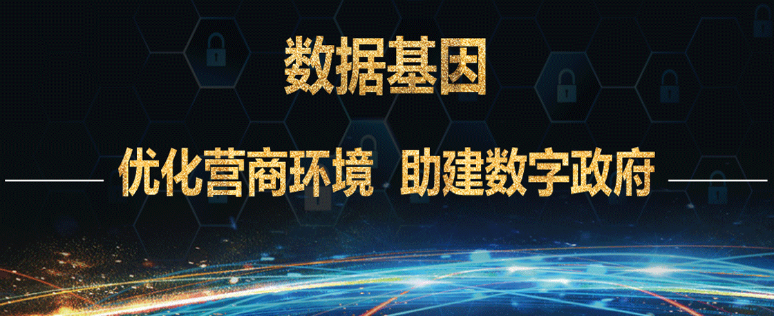 数据基因——优化营商环境 助建数字政府