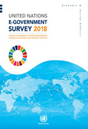 联合国：2018年电子政务报告(300页)