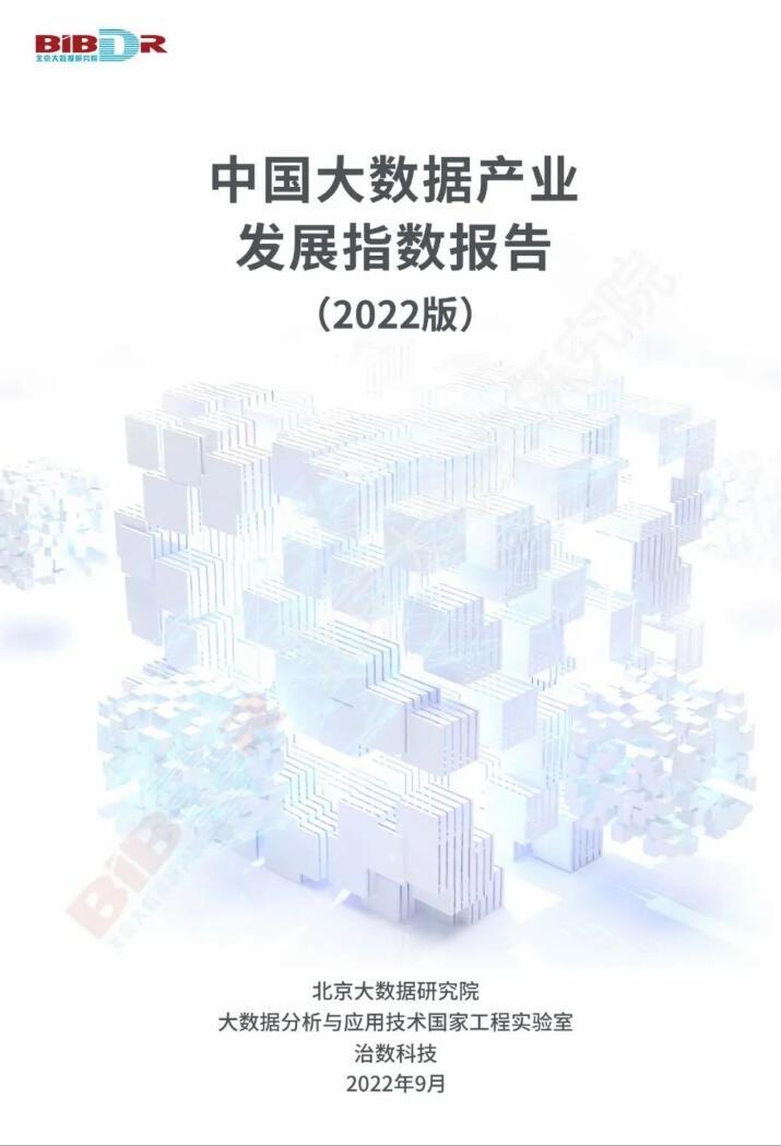 中国大数据产业发展指数报告（2022年）