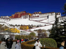 2023，你欠林芝桃花一场说走就走的西藏旅游
