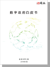 2018数字政府白皮书